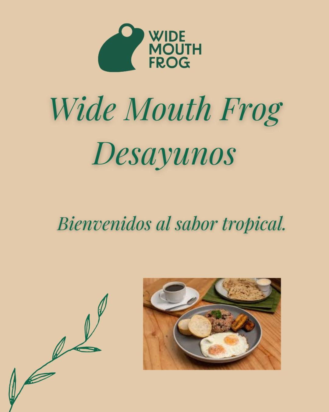 بيت شباب Wide Mouth Frog Quepos مانويل أنطونيو المظهر الخارجي الصورة